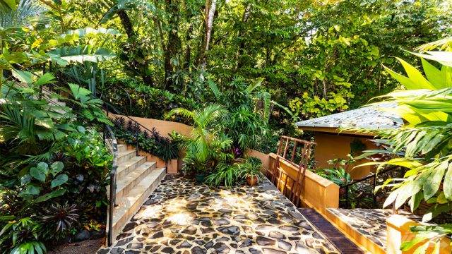 Luxury Big Air Travel Accomodations in the Jungle of Costa Rica