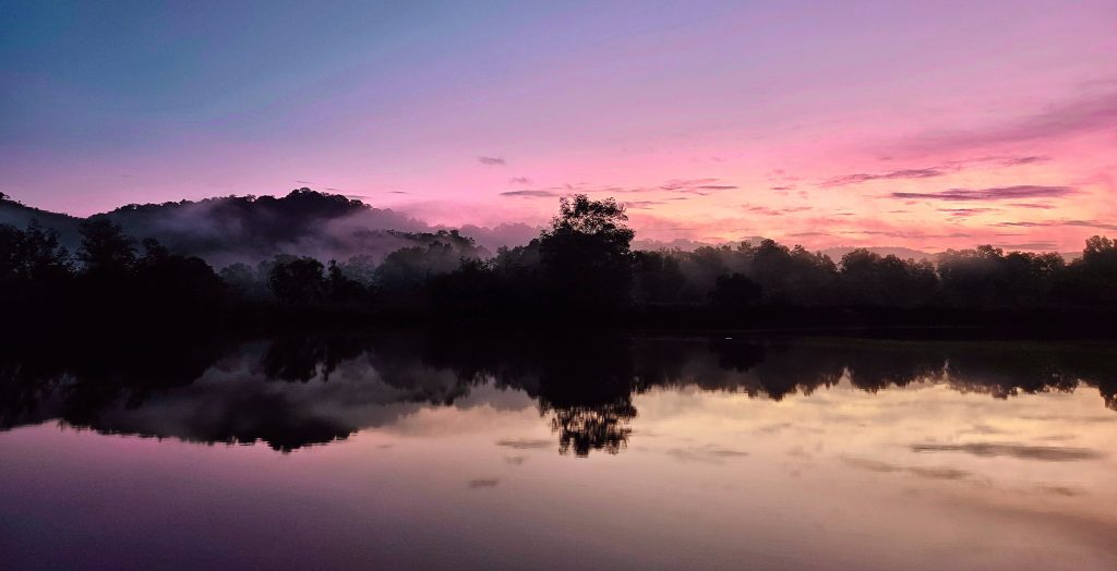 pink sky, trees and lake