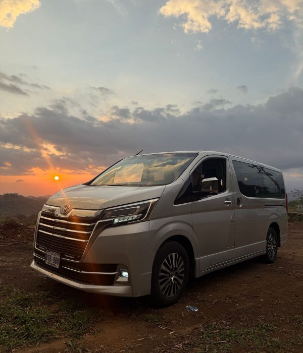 silver van at sunset