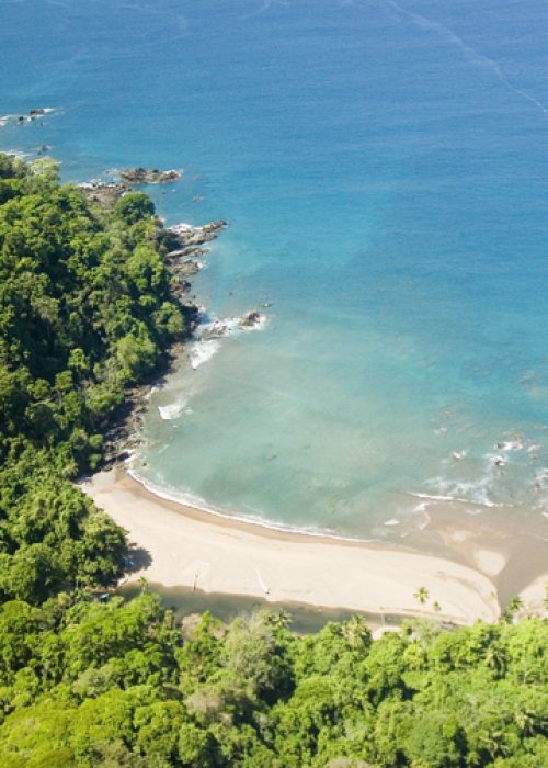 View of a beach and ocean and djungle